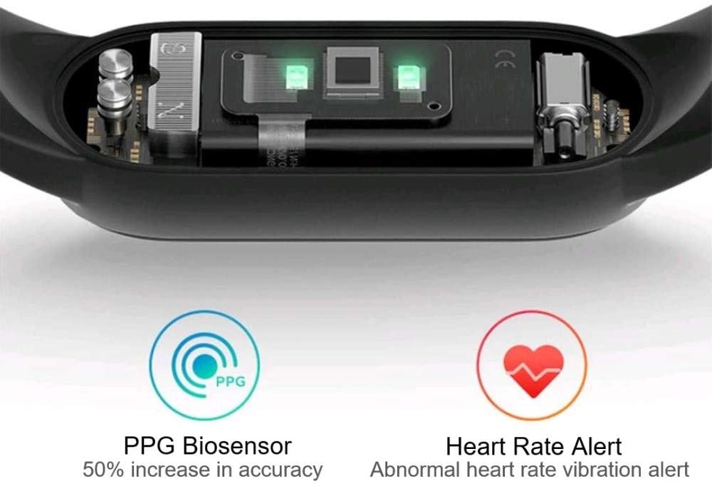 51MPWuxs5uL._AC_SL1000_